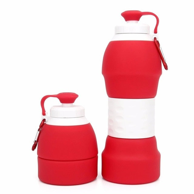 Shaker Silicone Water Bottle